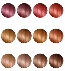 LuxeVelour Collection